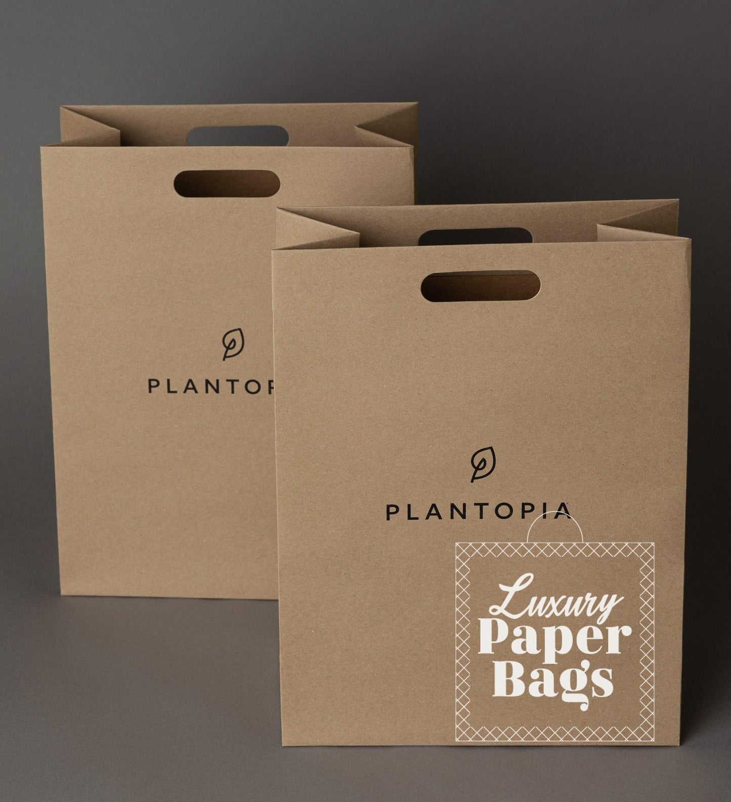 Paper Bags With Die Cut Handle