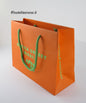 kraft paper bag with rope handle