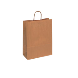 Paper Bags With Twisted Paper Handles